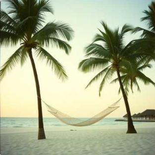 Toujours en vacances